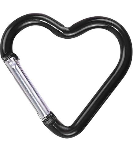 Amazon.com: 12 Pcs Heart Carabiner Cute Clip Set,Alloy Star