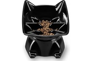 DNOYEUS Small Elevated Slow Feeder Cat Bowl, Cute Tilted Elevated Bowls and Dishes for Cats & Small Dogs, Whisker Friendly, Anti Vomiting Raised Pet Bowl for Dry and Wet Food, Black