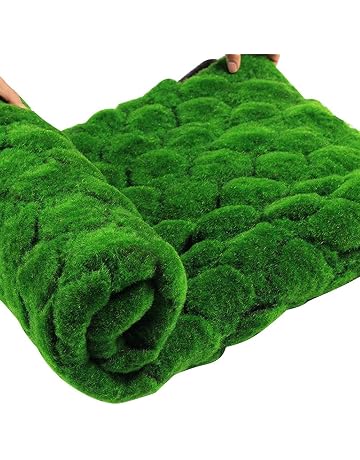 Amazon.es: Tierras - Tierras, abonos y medios de plantación ...