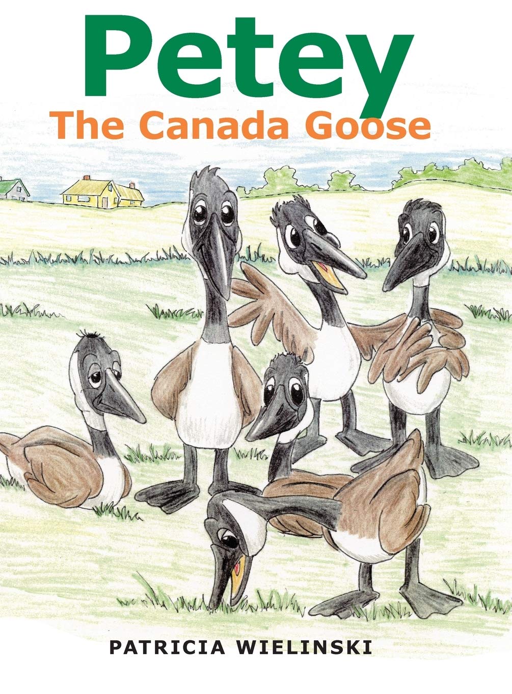 canada goose amazon 2018