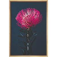 SIGNWIN Framed Canvas Print Wall Art Magenta Flower Blossom on Dark Background Botanical Wilderness Digital Art Realism Glam Closeup Colorful for Living Room, Bedroom, Office - 16