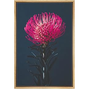 SIGNWIN Framed Canvas Print Wall Art Magenta Flower...