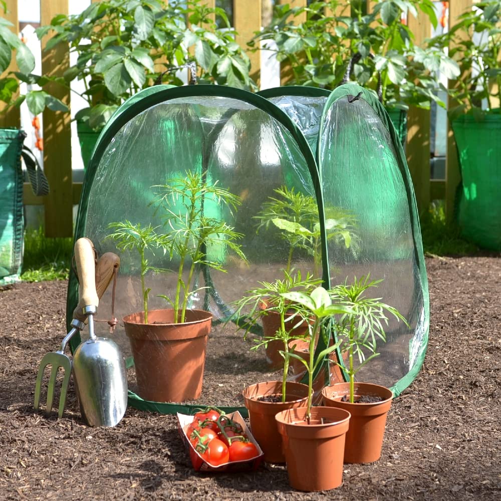 Mini Pop Up Poly Greenhouse Plant Cover | Garden Bell Cloche to Grow & Protect Crops Tomatoes Fruit Veg - 50x50x50cm (1)