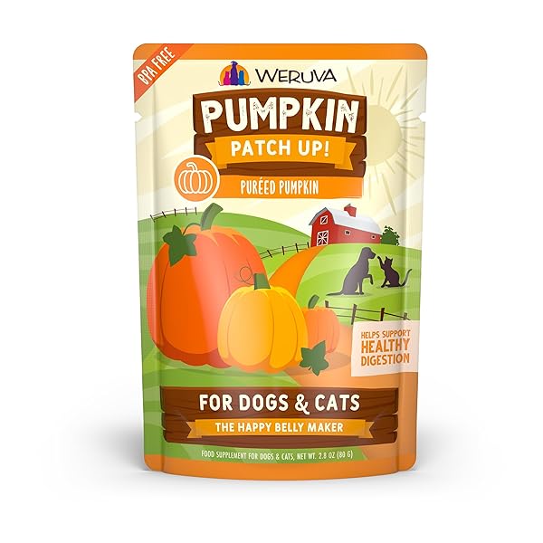 WERUVA PUMPKIN PATCH UP!, PUMPKIN PUREE PET FOOD SUPPLEMENT FOR DOGS & CATS, 2.80OZ POUCH (PACK OF 12)