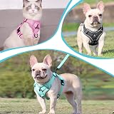 Grantop Cat Harness and Lead Set Mint Green S Reflective Escape-Proof Vest view 7