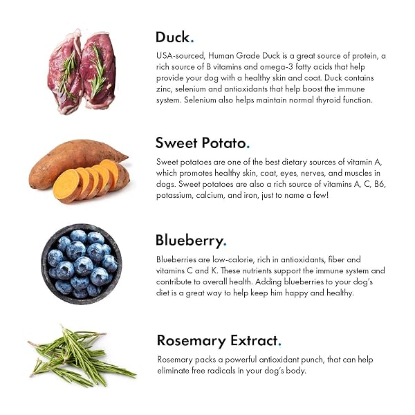 PET JERKY FACTORY PREMIUM DUCK AND BLUEBERRY 12 OZ. DOG JERKY TREATS | 100% HUMAN GRADE | USA MADE | HIGH PROTEIN | GRAIN FREE | LIMITED INGREDIENTS | NO FILLER | BHA-BHT FREE | SOFT-TENDER