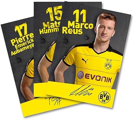 Borussia Dortmund Autogrammkarten Autograph Cards Signiert Bvb 09 Amazon De Sport Freizeit