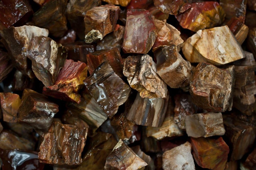 Indoor Fountains & Accessories - Fantasia Materials: 1 lb Petrified Wood Rough Stones from Madagascar