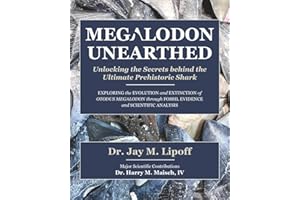 MEGALODON UNEARTHED: Unlocking the Secrets behind the Ultimate Prehistoric Shark