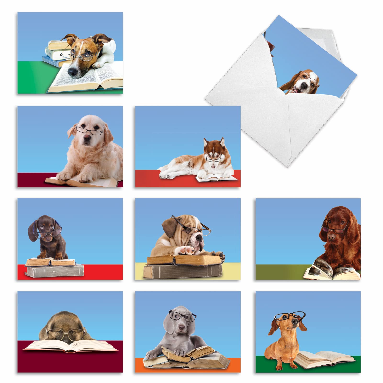 M2967sl Reading Eye Dogs: 10 Assorted Thank You Note Cards Featuring Book Smart Puppies Wearing Eyeglasses, w/White Envelopes. by The Best Card Company
