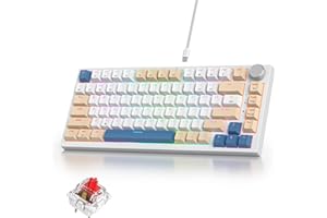 iRoboosta 75% Mechanical Keyboard with Volumn Knob, Gasket Hot Swappable RGB Gaming Keyboard, Wired Custom Keyboard with Red 