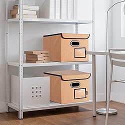 BALEINE File Organizer Box with Lid, Collapsible