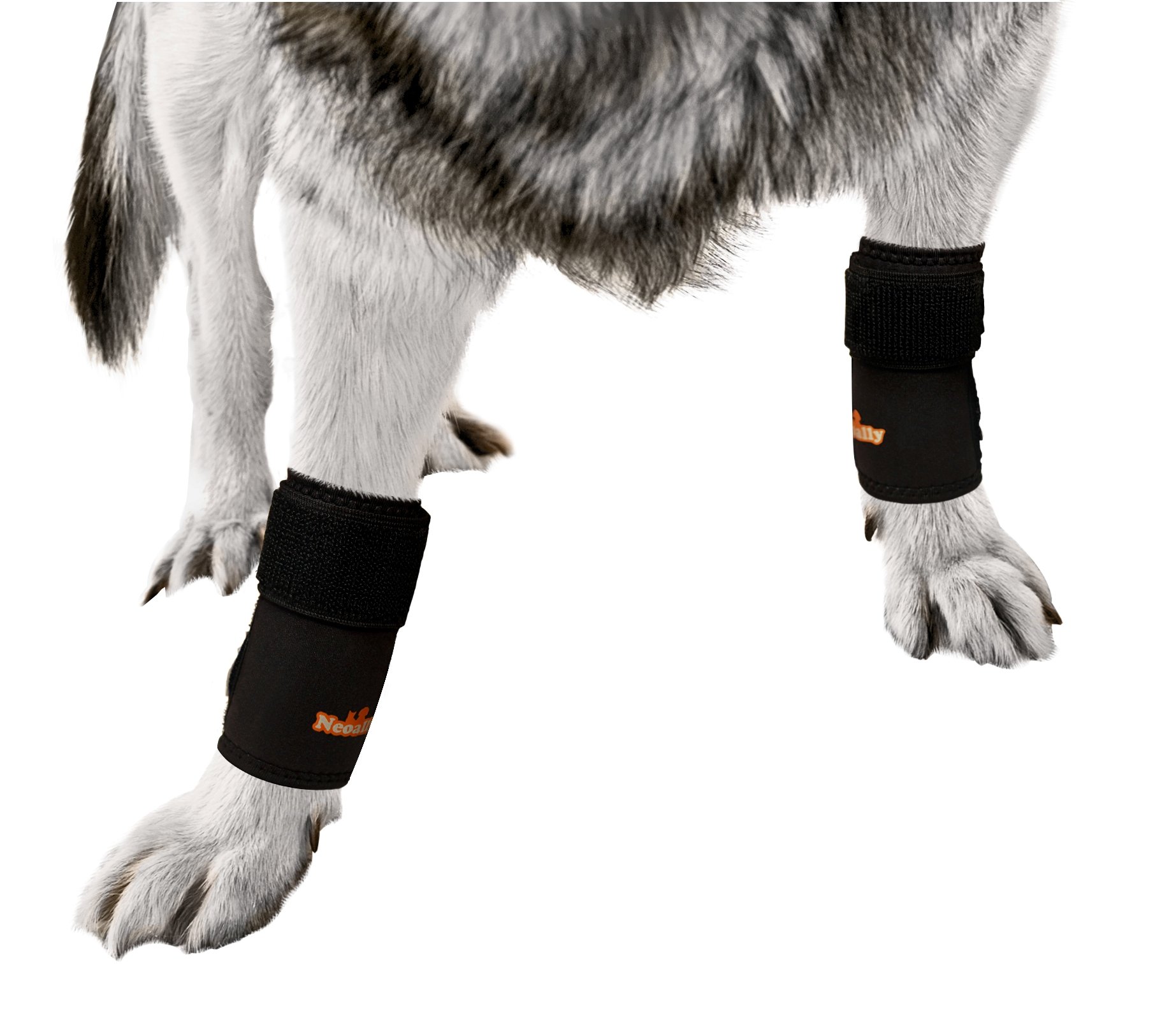 Pair NeoAlly Dog Braces Front Leg Carpal Support Canine Hock Braces