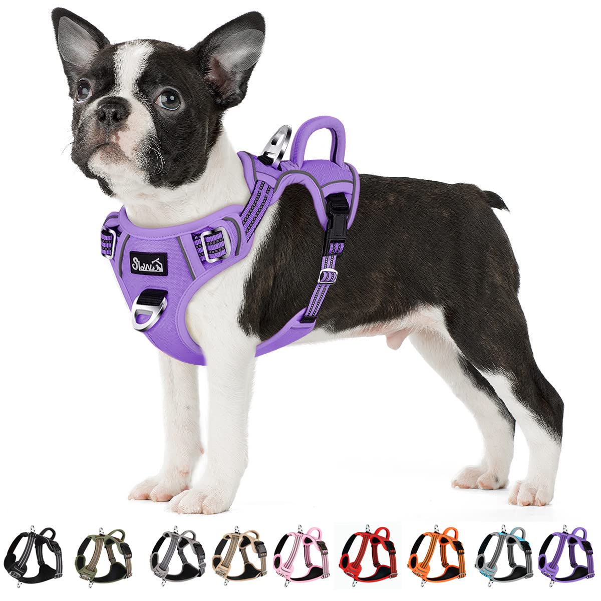 Eyein Medium Dog Harness, Anti-Pull Adjustable Heavy Duty Pet Vest with 2 Clips, Escape-Proof Puppy Harness with Soft Padded Handle, Reflective for Outdoor Training & Walking