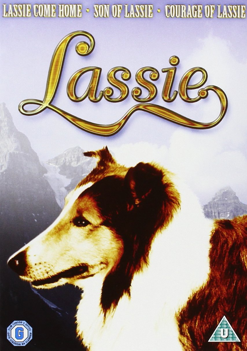 Amazon Com Lassie Come Home Son Of Lassie Courage Of Lassie 3 Disc Box Set Dvd Roddy Mcdowall Elizabeth Taylor Movies Tv