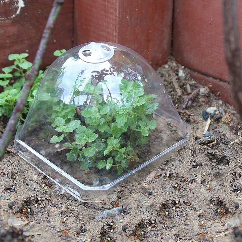 View 5