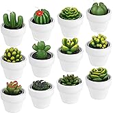 12 Pieces Succulent Candles Novelty Handmade Cactus Tealight Candle Delicate Stylish Plant Candle Mini Cactus Candles for Party Favors Baby Shower Decorations Wedding Gifts Birthday (Novel Style)