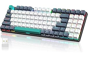 RISOPHY Wireless Mechanical Keyboard,Triple-Mode 2.4G/USB-C/Bluetooth Gaming Keyboard with RGB Backlit,Efficient Numeric Pad,Red Switches,94 Keys Metal Base PBT Compact Quiet Wired Keyboard for PC Mac iPad