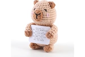 Arnbz Mini Positive Capibara Crochet Animals, Cute Handmade Knitted Emotional Support Crochet Capibara, Funny Inspirational Back to School Teacher College Graduation Birthday Gifts for Women Men