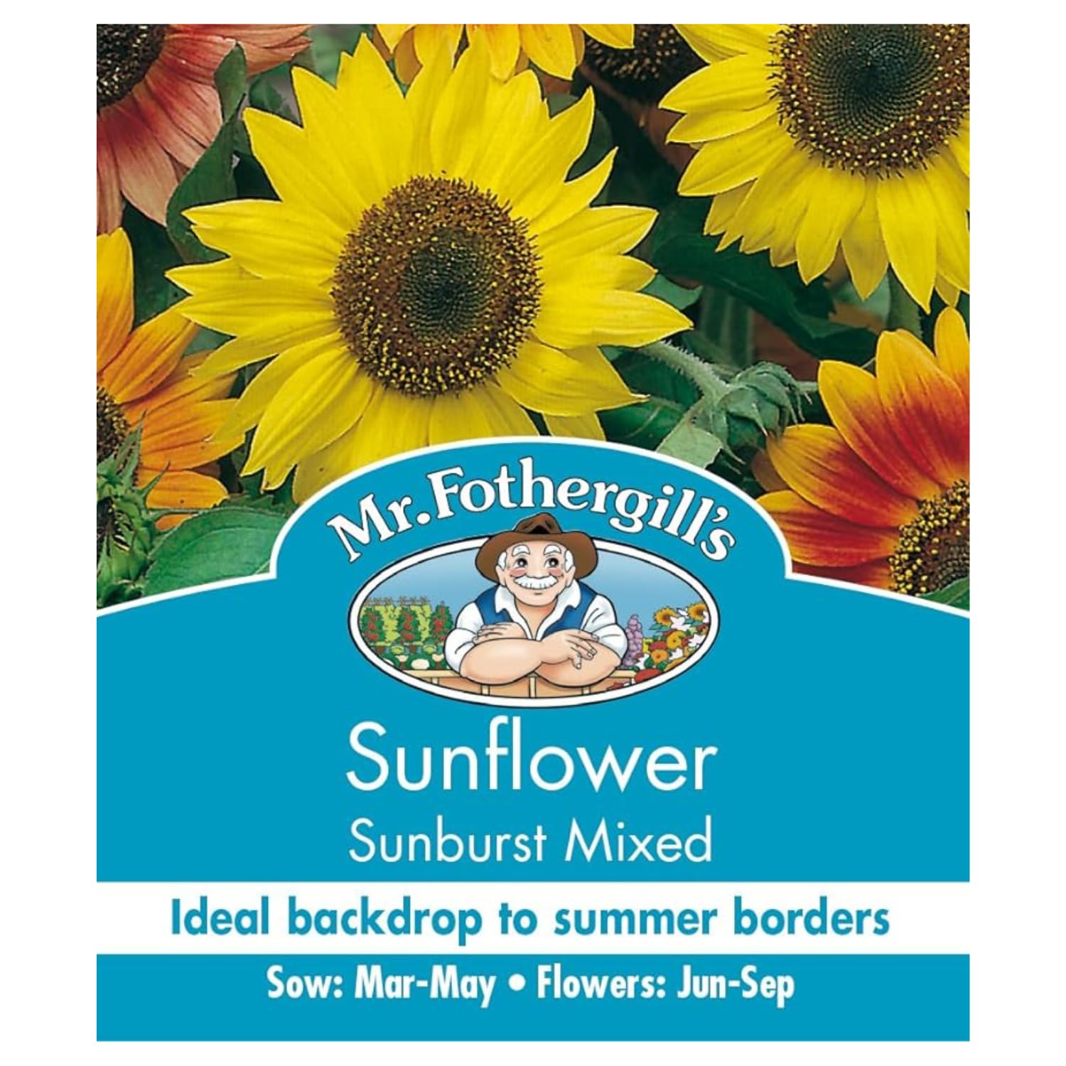 Mr. Fothergill's 24961 Sunburst Sunflower Seeds, mixed