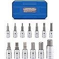 Mayouko 13PCS Metric Hex Bit Socket Set, CR-V Allen Bit Socket Kit, S2 Steel, 2mm - 14mm, 1/4", 3/8" & 1/2" Drive