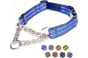 PUROAYET Martingale Dog Collars, Reflective Nylon Collar with Stainless Steel Chain, Adjustable Walking Training Dog Collars with Quick Release Buckle, Suitable for Small Medium Large Dogs(Blue,XL)