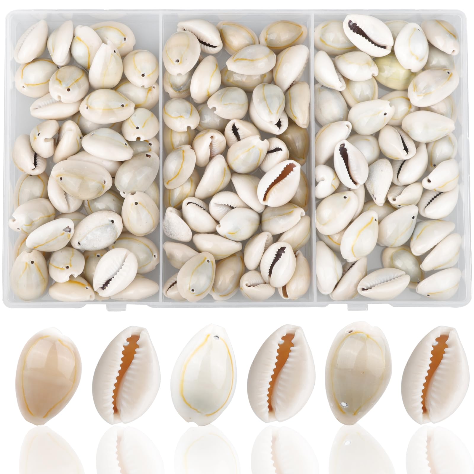 YSDMY 120 PCS Natural Spiral Cowrie with 1 Hole ，2 Hole and No Hole，18-20 MM Sea Shells for Decoration Jewellery Making
