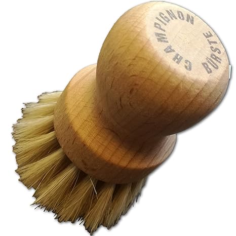Hofmeister Holzwaren Pilzbürste für Champinons aus Holz (7,7 cm)