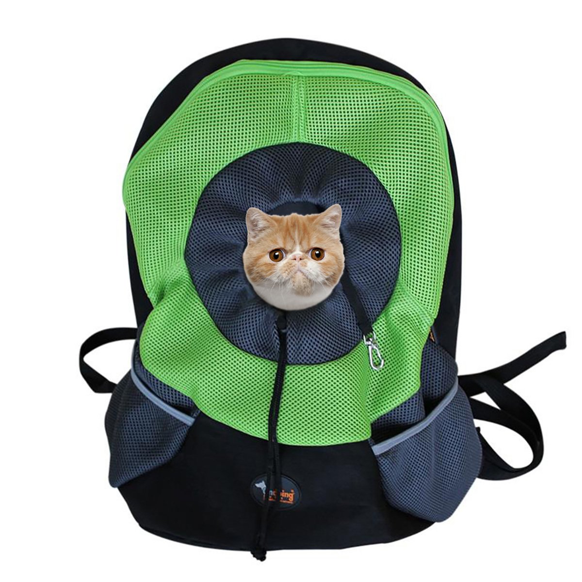 ondoing dog backpack