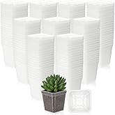 Yaomiao 200 Pack 3 Inch Clear Nursery Pot Square Flower Pots Plastic Plant Succulent Planter Seed Starting Pots with Drainage Holes for Garden Office Balcony Decor Indoor Outdoor Plant Seedling