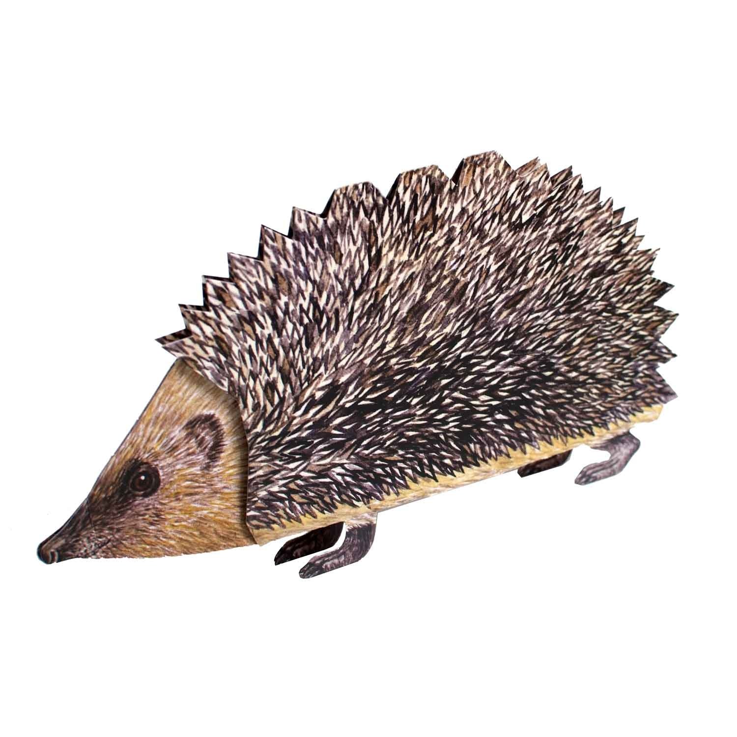 POP-UP CARD HEDGEHOG: A folded 3-D-card of a lifelike hedgehog - sweet and dinky! Best for animal lovers.