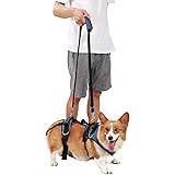 Amazon Com Coodeo Dog Lift Harness Support Recovery Sling Pet Rehabilitation Lifts Vest Adjustable Breathable Straps For Old Disabled Joint Injuries Arthritis Paralysis Dogs Walk Small Kitchen Dining