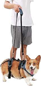 Amazon Com Coodeo Dog Lift Harness Pet Legs Support Rehabilitation Vest Lift Adjustable Padded Straps For Old Disabled Joint Injuries Arthritis Loss Of Stability Senior Dogs Walk Up And Down