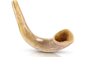 Ram's Horn Shofar Kosher Mini 10" Polished White