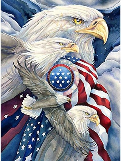 Simingd Kit De Peinture Diamant Pour Adultes Motif Drapeau Americain Avec Aigle 30 X 40 Cm Amazon Fr Cuisine Maison