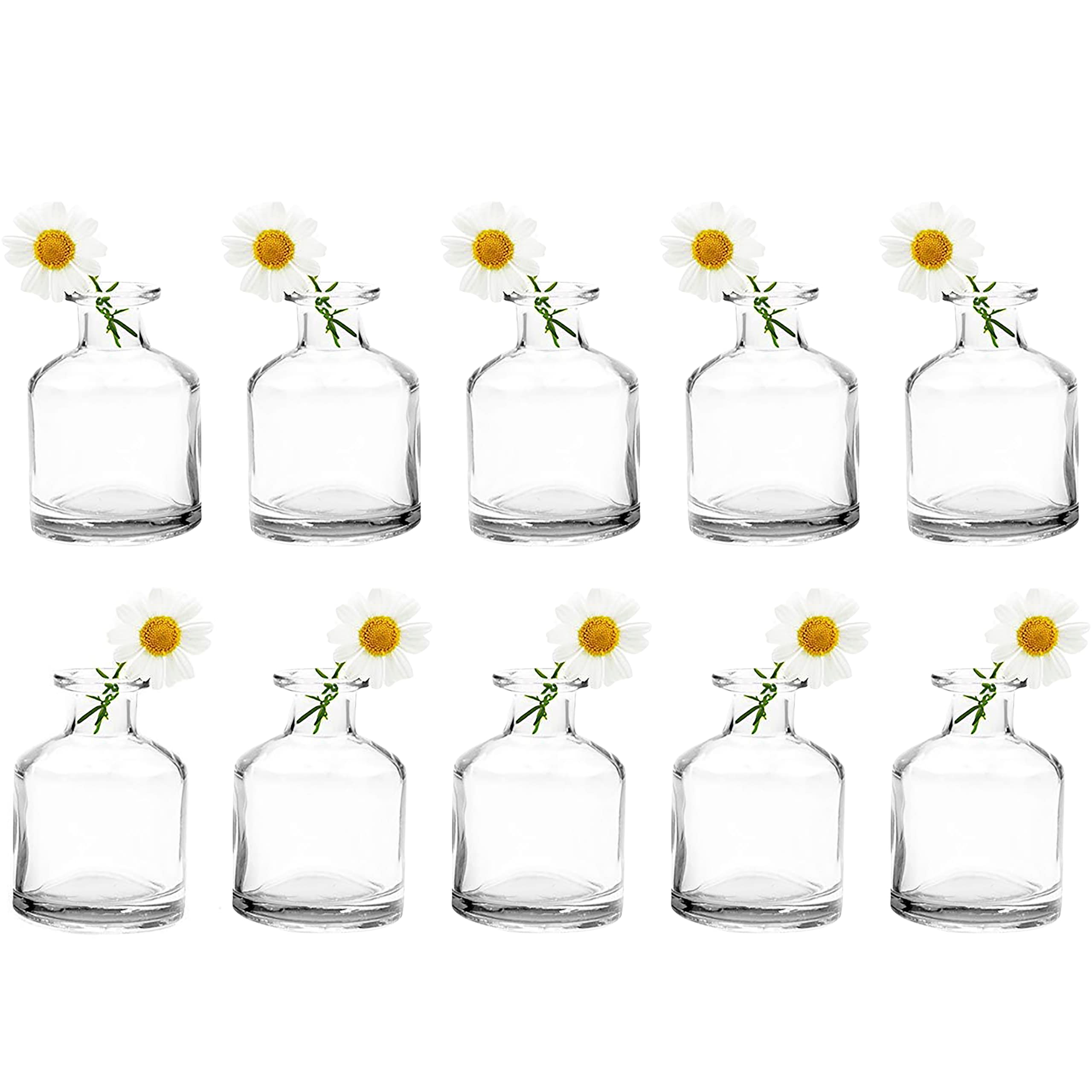 Chive ‘Loft’ Small Flower Vase — Cute, Beautiful Glass Vase for Flowers & House Plants — Set of 10 — Short Bottle