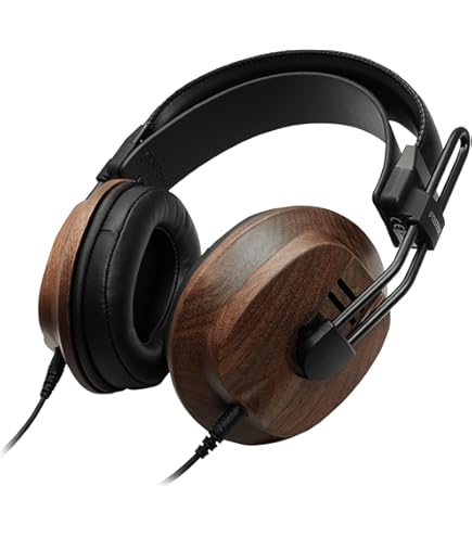 Amazon.com: Fostex AMS-T60RP Premium Planar Magnetic