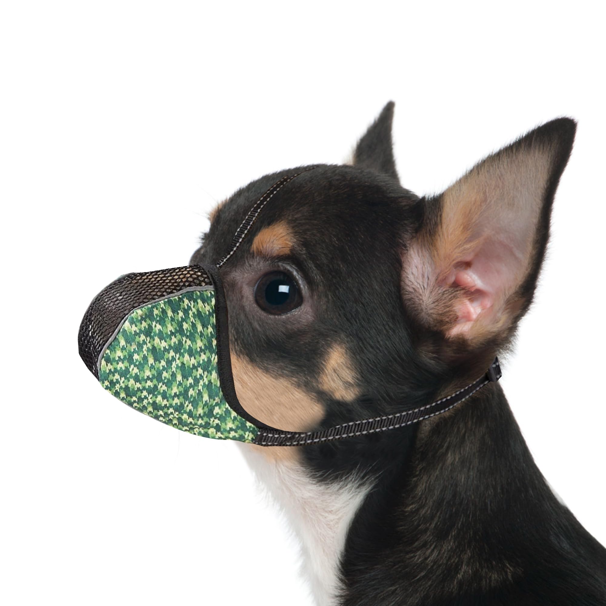 Photo 1 of JOYPAWS Dog Muzzle for Extra Small Dogs Anti & Prevent Biting Chewing Barking Soft Air Mesh Muzzles Reflective Ajustable Full Coverage Dog Mouth Guard Cover for Grooming Scavenging Green XS