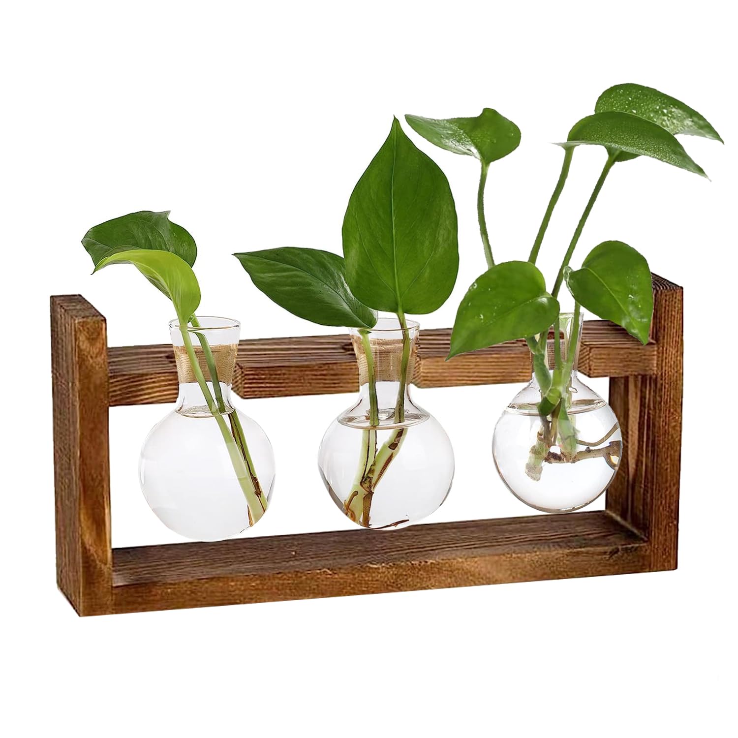 Plant Lover Gifts,Ompinda Desktop Glass Plant Terrarium Propagation Station Hydroponics Plants Vase with Wooden Stand for Home/Office Decor (3 Bulb Containers) (Round)