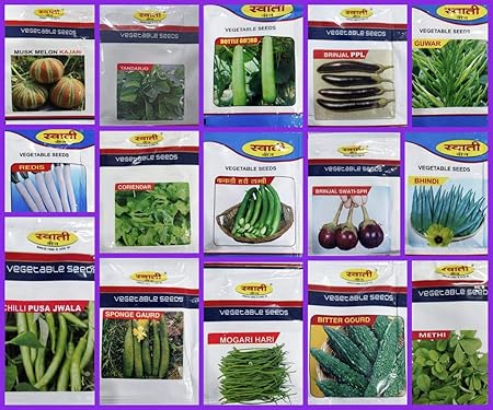 SWATI 15 Variety of Vegetable Seeds