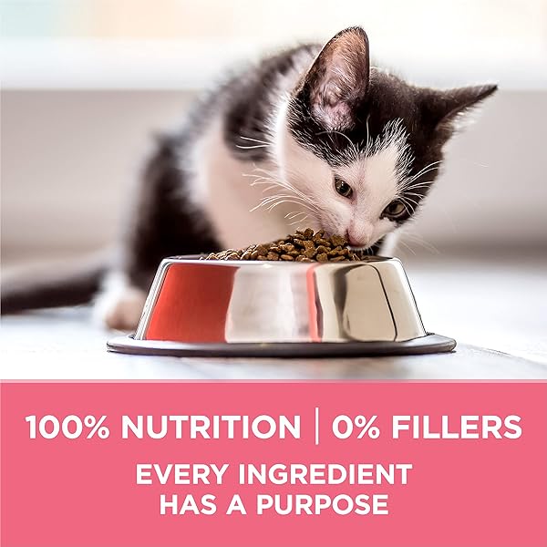 PURINA ONE HIGH PROTEIN, NATURAL DRY KITTEN FOOD, +PLUS HEALTHY KITTEN FORMULA – 7 LB. BAG