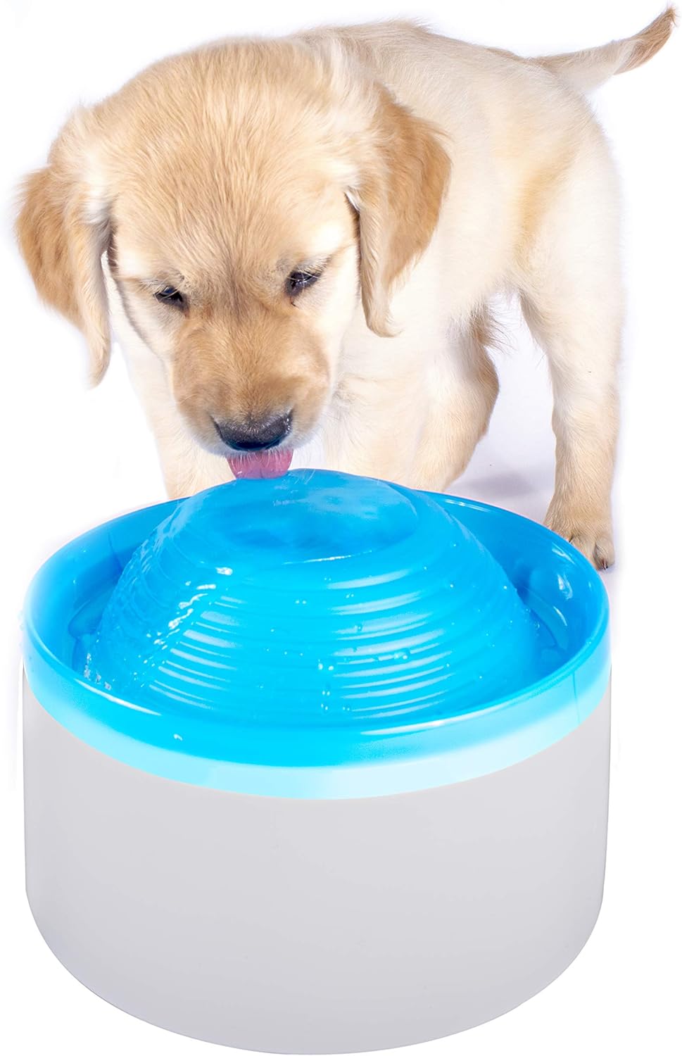 pet water fountain with automatic shut off