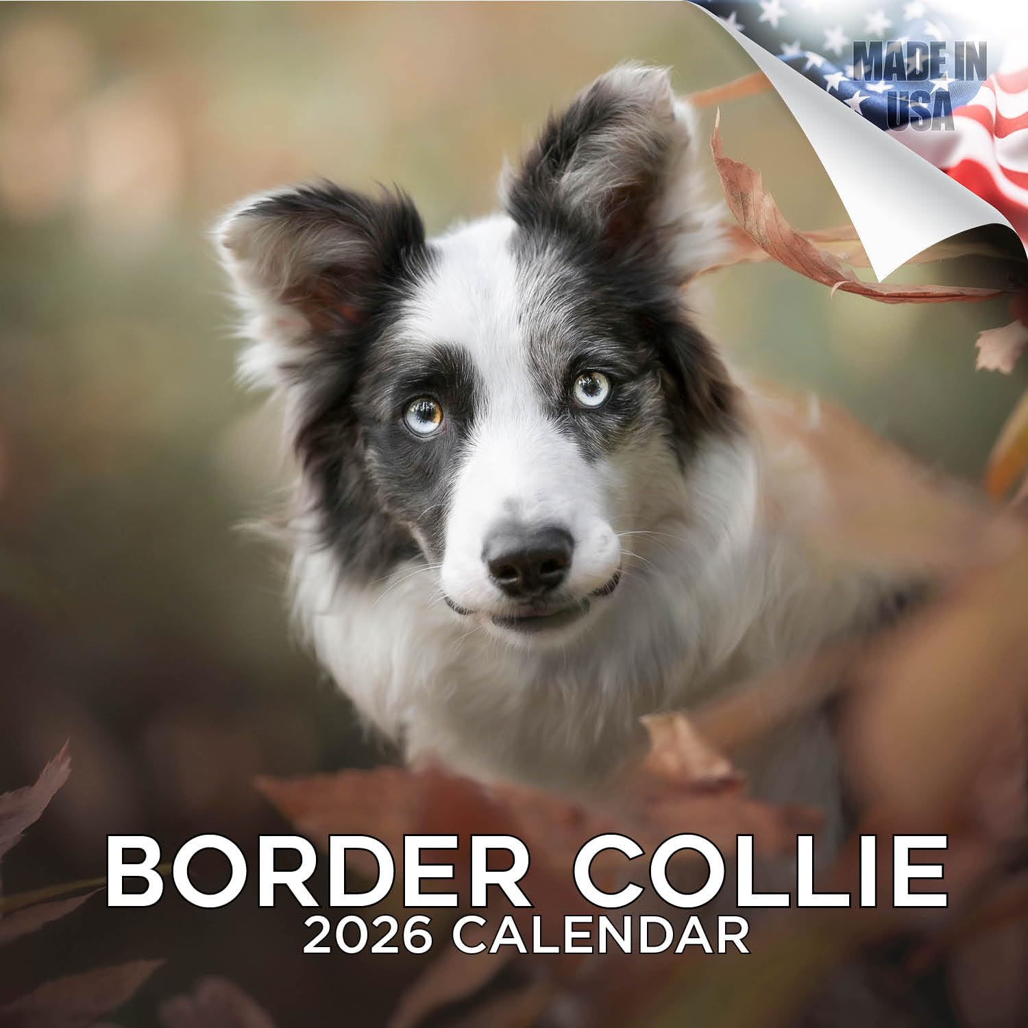 Border Collie Calendar 2026 by MegaCalendars – Monthly Dog Breed Wall Calendar, Made in USA