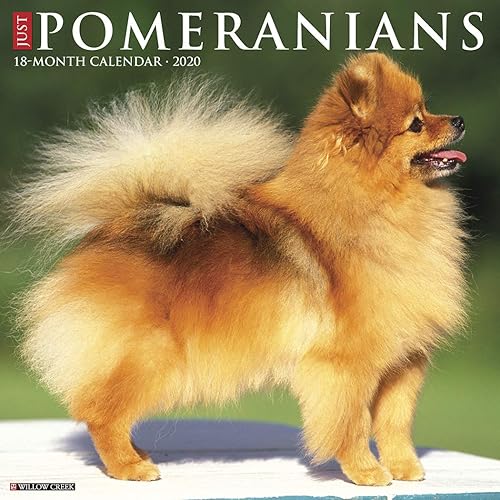 Download Just Pomeranians 2020 Calendar PDF