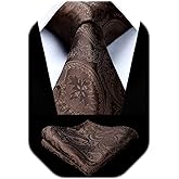 HISDERN Paisley Ties for Men Solid Tie Handkerchief Floral Men's Necktie & Pocket Square Set Wedding Classic Mens Ties
