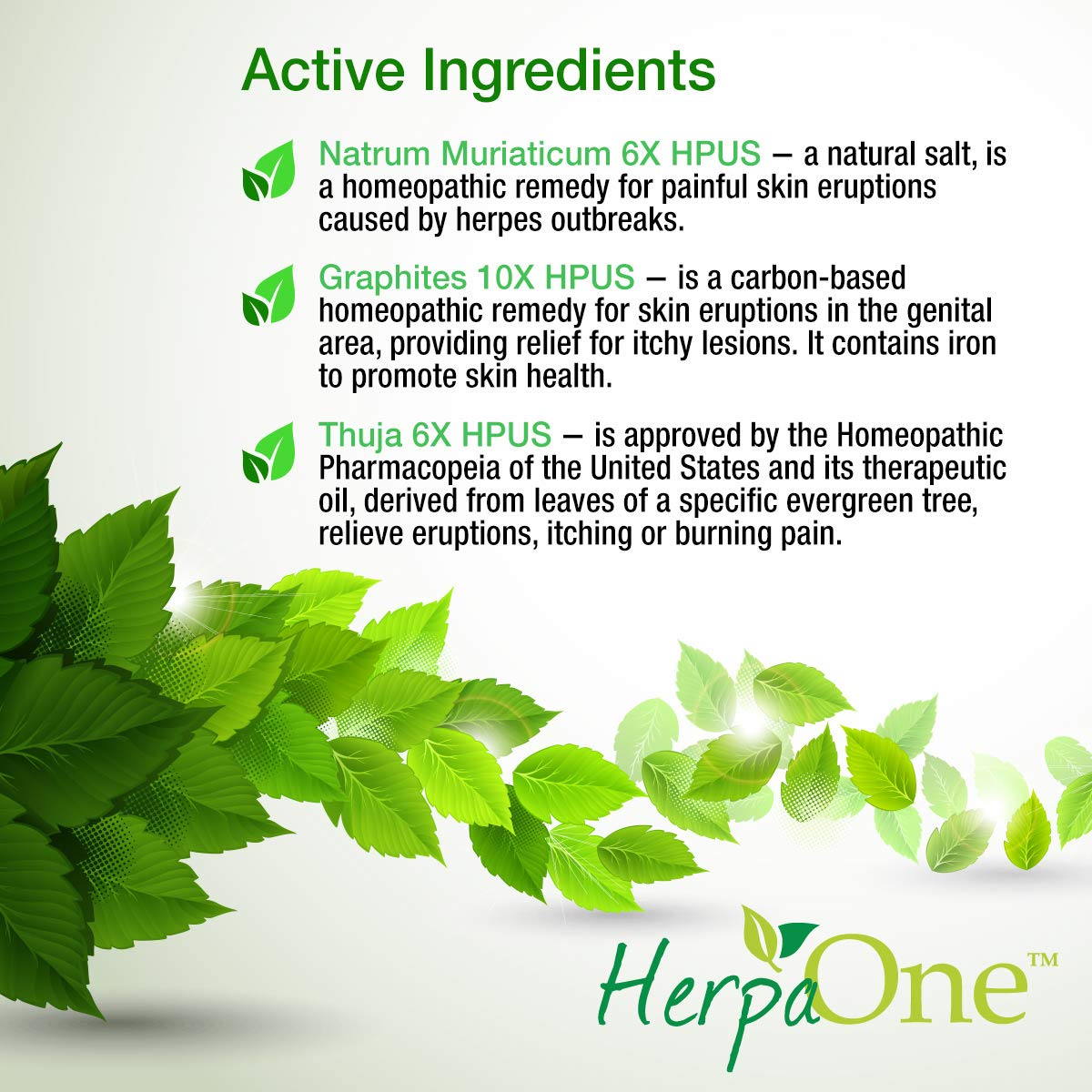 HerpaOne - Rapid Healing for Herpes Sores - All Natural - Lysine and Zinc Formulation- for Herpes Cold Sores Pain Itching Relief by HerpaOne: Health & Personal Care