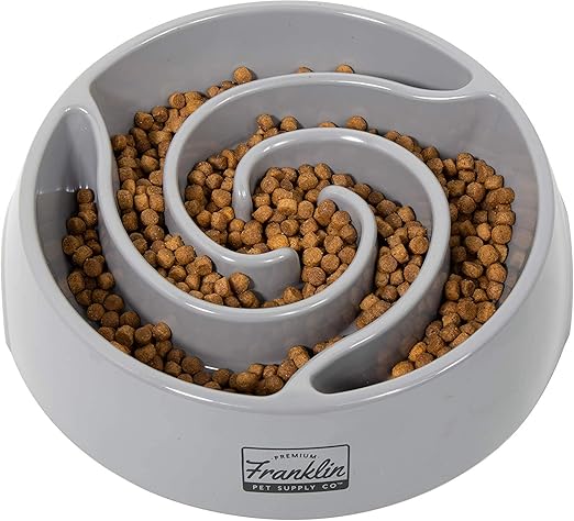 puppy food bowl