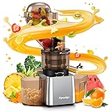 Flyseago Commercial 300W Cold Press Juicer Machines