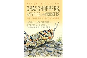 Field Guide to Grasshoppers, Katydids, and Crickets of the United States