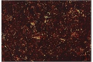 FLEOR 11.4 x 17 Inch Blank Guitar Bass Pickguard Sheet DIY Guitar Pickguard Backplate Scratch Plate Material,4Ply Brown Tortoise Shell